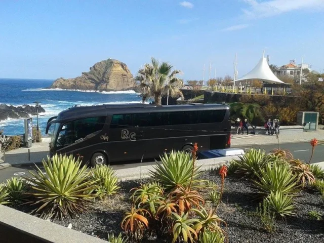 Black bus parked near the Madeira coastline with ocean view and palm trees