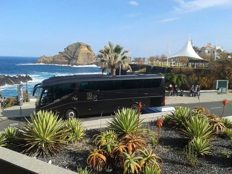Black bus parked near the Madeira coastline with ocean view and palm trees